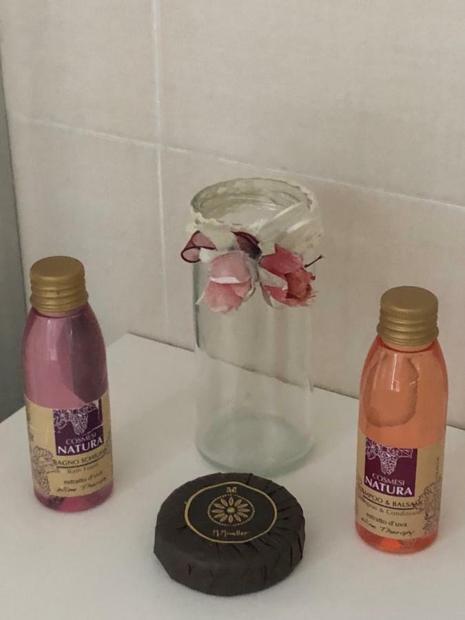 Luxy Vatican Apartment 罗马 外观 照片